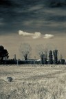 Playground 02