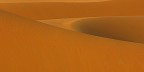 Linee