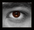 eye eye