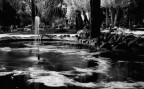 Stagno di Villa Celimontana