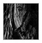 36452 - Comune di Milano 36452 - Comune di Milano