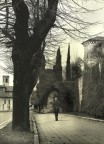 Pellegrini pensieri Pellegrini pensieri