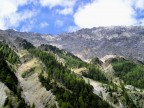 Alberi Di Montagna Alberi Di Montagna
