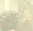 camera.lucida camera.lucida