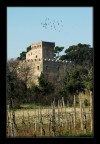 La rocca e la vigna La rocca e la vigna