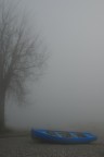 nebbia nebbia