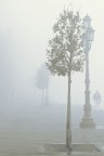 Nella nebbia 01 Nella nebbia 01