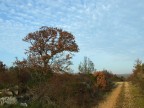 Ancora Autunno Ancora Autunno