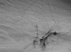 punti-linee-neve