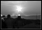 visione...gratuita visione...gratuita