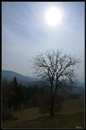 Sole negli occhi