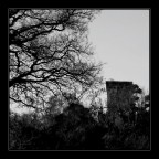 Tentacoli sulla rocca Tentacoli sulla rocca