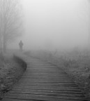 Senza fine Senza fine