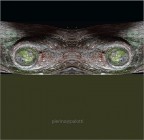 occhi verdi occhi verdi