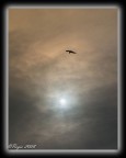 Cielo di tempesta sul mare Cielo di tempesta sul mare