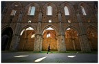 Chiusdino (SI), San Galgano, marzo 2008 Chiusdino (SI), San Galgano, marzo 2008