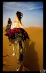 Riding Marocco Riding Marocco