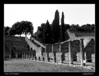 Scavi di Pompei Scavi di Pompei