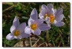 Aria di primavera