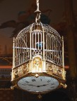 Uccello in gabbia dalle ore contate Uccello in gabbia dalle ore contate
