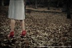 The Red Shoes The Red Shoes