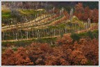Colori di campagna Colori di campagna