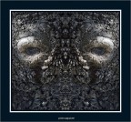 occhi di bovetto occhi di bovetto