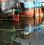 riflesso sulla senna riflesso sulla senna