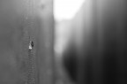 Raindrop