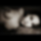 ...solo per lei ...solo per lei