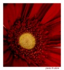 punto di colore punto di colore