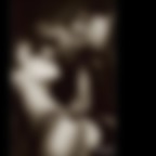 The Passion of Lovers... The Passion of Lovers...