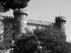 Il castello B/N Il castello B/N