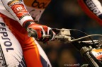 toni bou toni bou