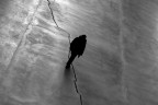 disorientamento disorientamento