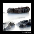 Infusion HK Infusion HK