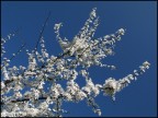 Colori primaverili