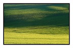 ...campi...