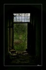 Rovine nel Verde