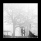 ............ ............