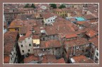 :: I tetti di Lucca :: :: I tetti di Lucca ::