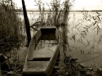 L'abbandono L'abbandono