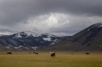 Cos si presentava il Piano Grande di Castelluccio di Norcia verso le 11 di stamattina. La foto di paesaggio non  il mio forte, mi sono voluto cimentare lo stesso. Pentax k100d con Pentax 18-55 DA a 55 mm. f/8, 1/750 sec. 200 Iso. Commenti e critiche gradite!