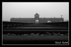 Birkenau welcome to hell Birkenau welcome to hell