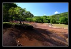 chamarel chamarel