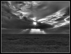 Tramonto sul grano Tramonto sul grano
