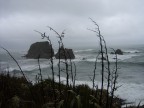 West Coast -NZ- West Coast -NZ-