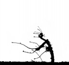 Il vecchio contadino Il vecchio contadino