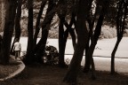 Quanto mi piace camminare sul muretto!!! Quanto mi piace camminare sul muretto!!!