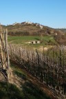 cissone ... dal vigneto in alta langa cissone ... dal vigneto in alta langa